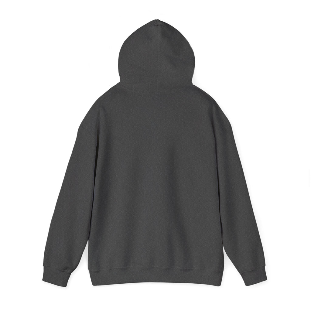 Be Faithful Not Fearful Unisex Hoodie – Christian Inspirational Sweatshirt