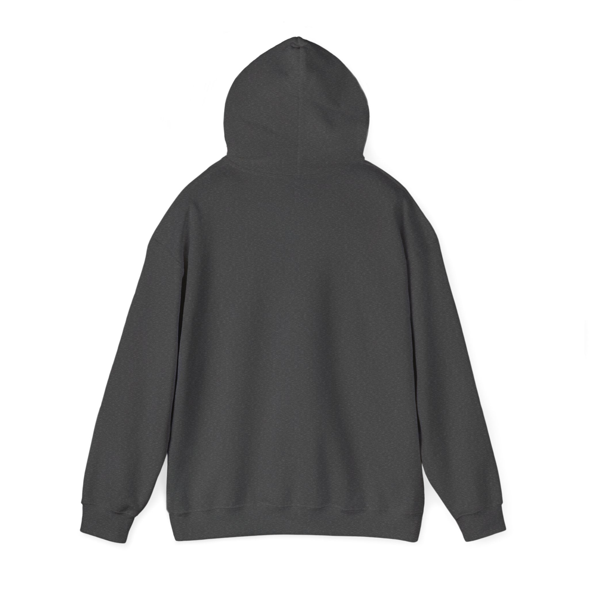 Be Faithful Not Fearful Unisex Hoodie – Christian Inspirational Sweatshirt