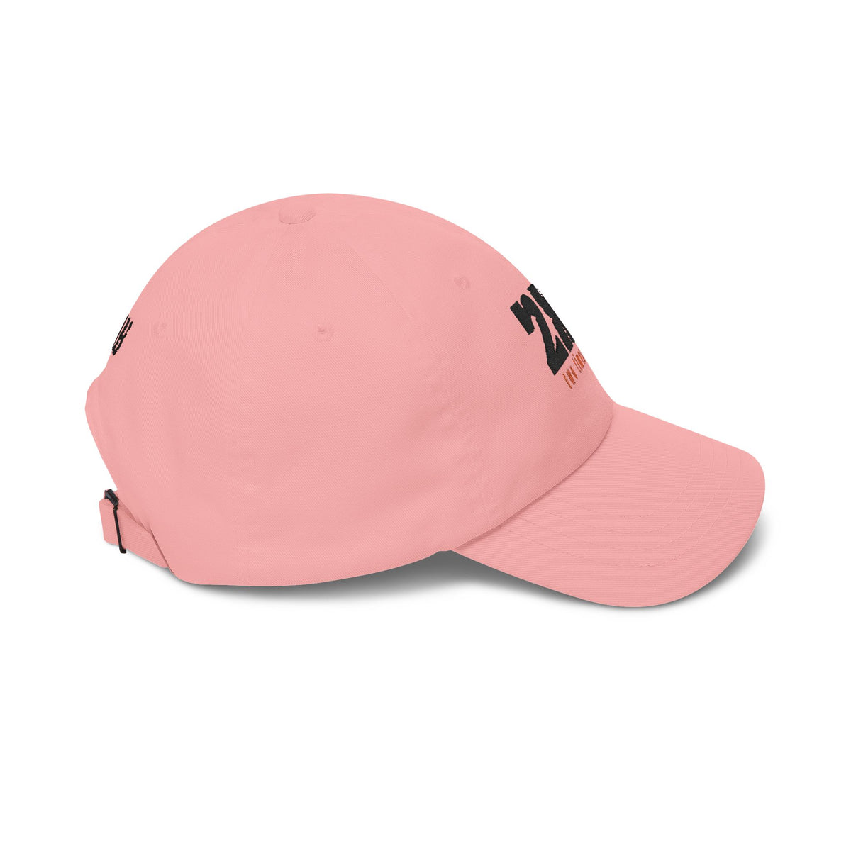 Classic Dad Cap — 2xB (Two Times Born) Embroidered Baseball Hat, John 3:3 Christian Faith Dad Hat - Bri Mone&
