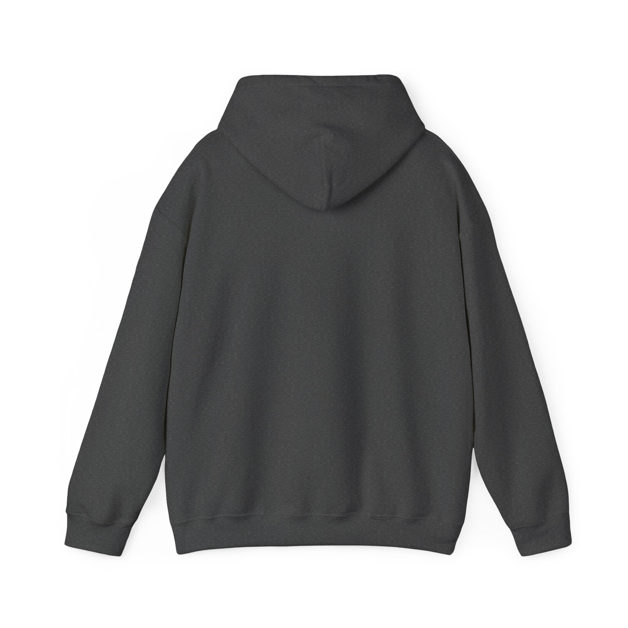 Be Faithful Not Fearful Unisex Hoodie – Christian Inspirational Sweatshirt