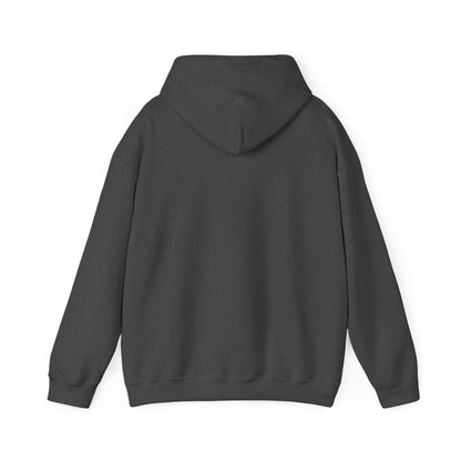 Be Faithful Not Fearful Unisex Hoodie – Christian Inspirational Sweatshirt