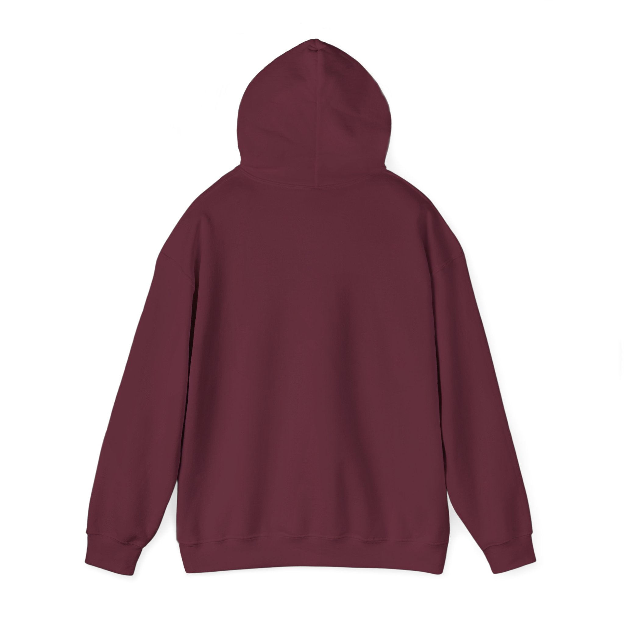 Be Faithful Not Fearful Unisex Hoodie – Christian Inspirational Sweatshirt