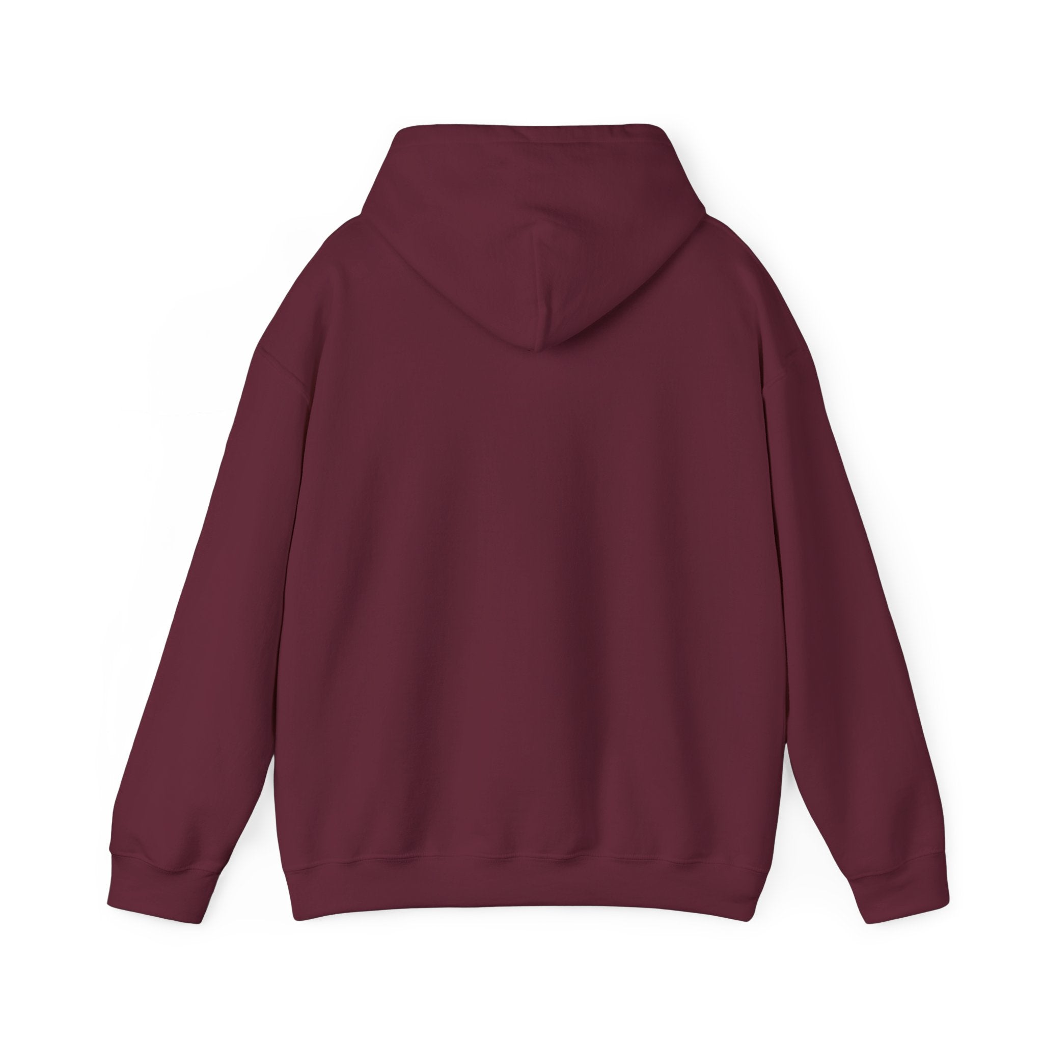 Be Faithful Not Fearful Unisex Hoodie – Christian Inspirational Sweatshirt